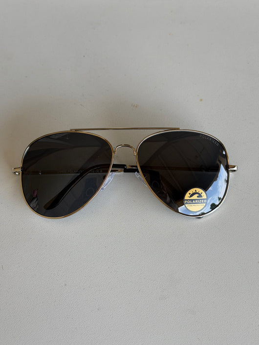Silver Polarized Aviator Sunglasses