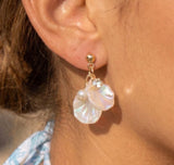 Iridescent Shells & Gold Post Earrings