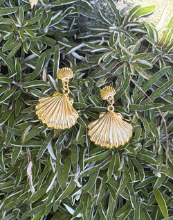 Gold Dipped Sea Shell Post & Dangle Earrings