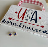 American Flag Star Post Earrings